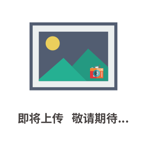 電動襯膠法蘭閘閥Z941J